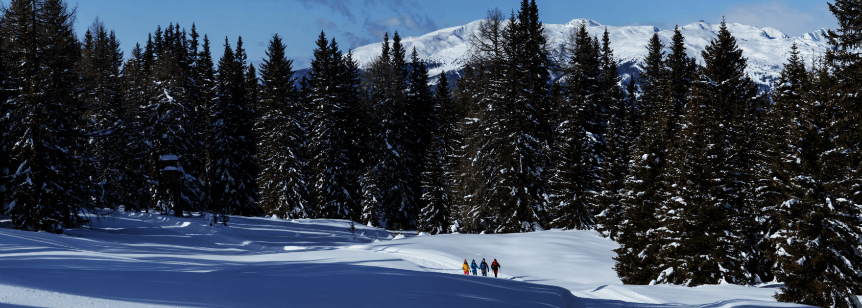 Winterwandern am Dorfberg