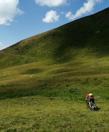 Mann fährt mit dem MTB in einer Wiese