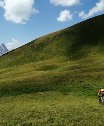 Mann fährt mit dem MTB in einer Wiese